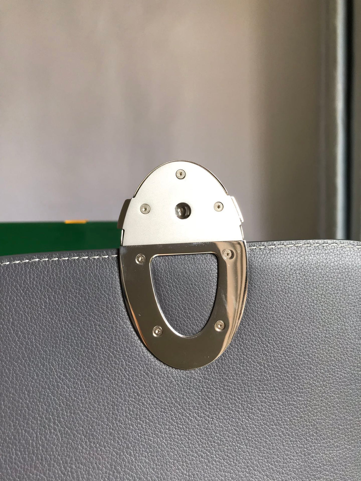 GOYARD 233 BAG 25 IN GRAY CALFKIN AND GOYARDINE CANVAS