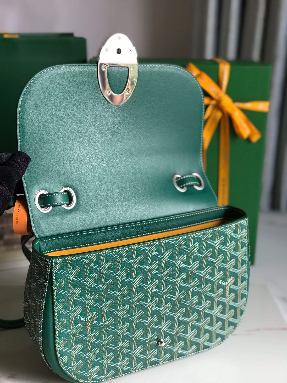 GOYARD 233 BAG 25 IN GREEN CALFKIN AND GOYARDINE CANVAS